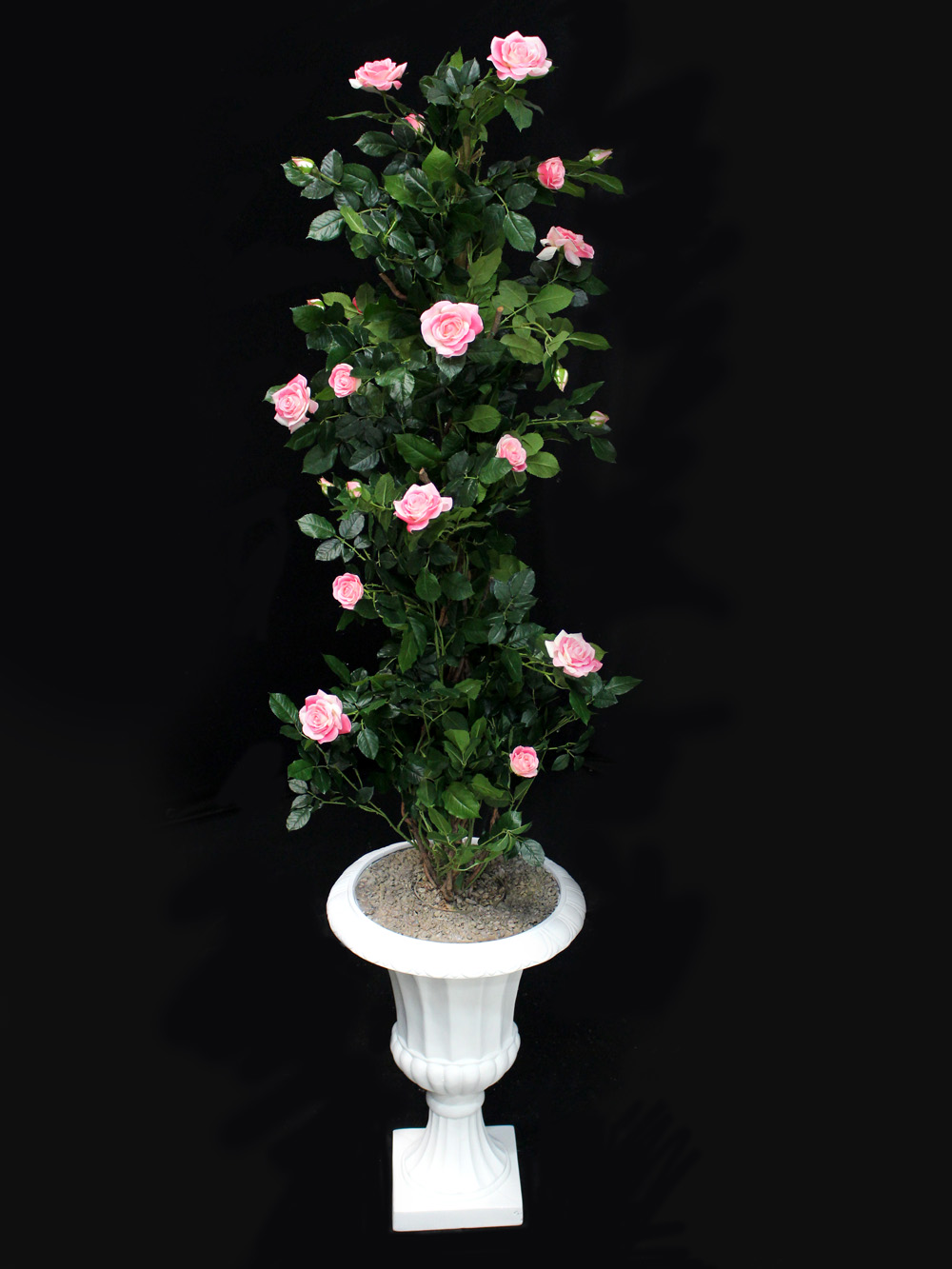 SN2481_Rose_Climber_in_Urn_event_prop_hire_0031IMG_3952_copy