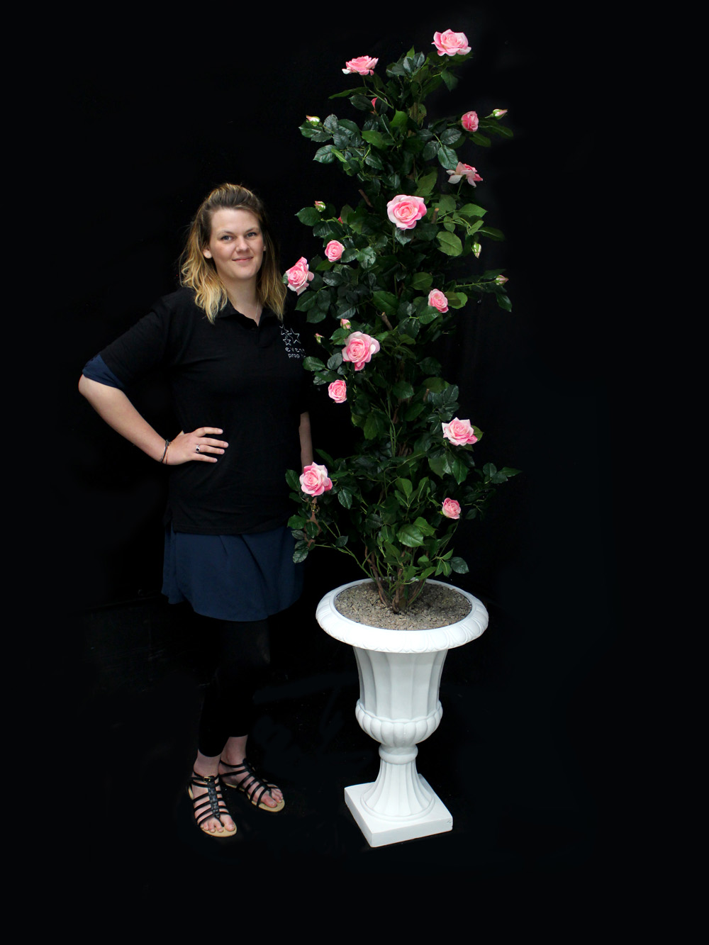 SN2481_Rose_Climber_in_Urn_event_prop_hire_0033IMG_3968_copy