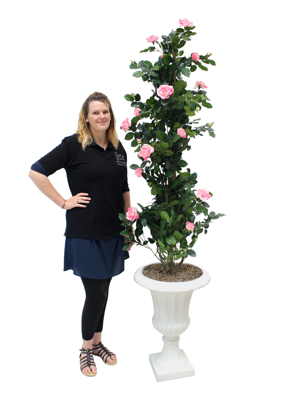 SN2481_Rose_Climber_in_Urn_event_prop_hire_0034IMG_3969_copy