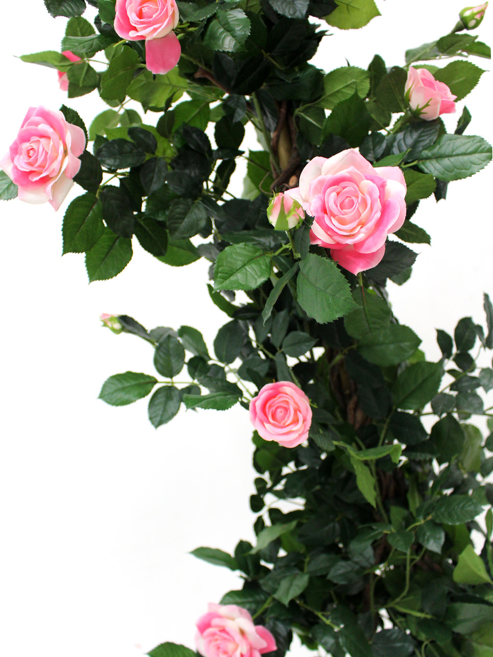 SN2481_Rose_Climber_in_Urn_event_prop_hire_0035IMG_3983_copy