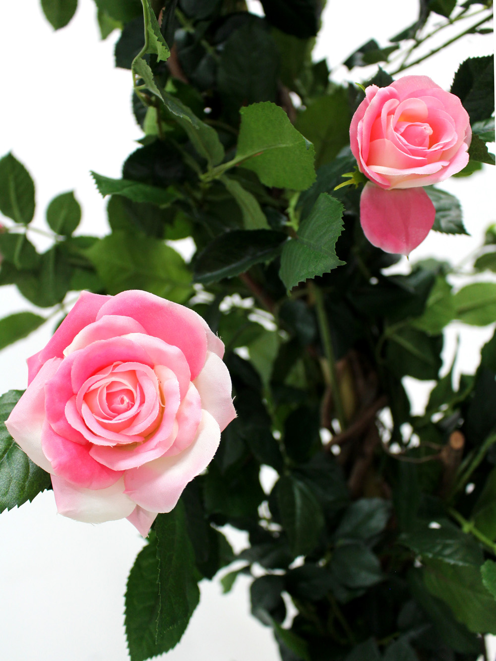 SN2481_Rose_Climber_in_Urn_event_prop_hire_0036IMG_3984_copy