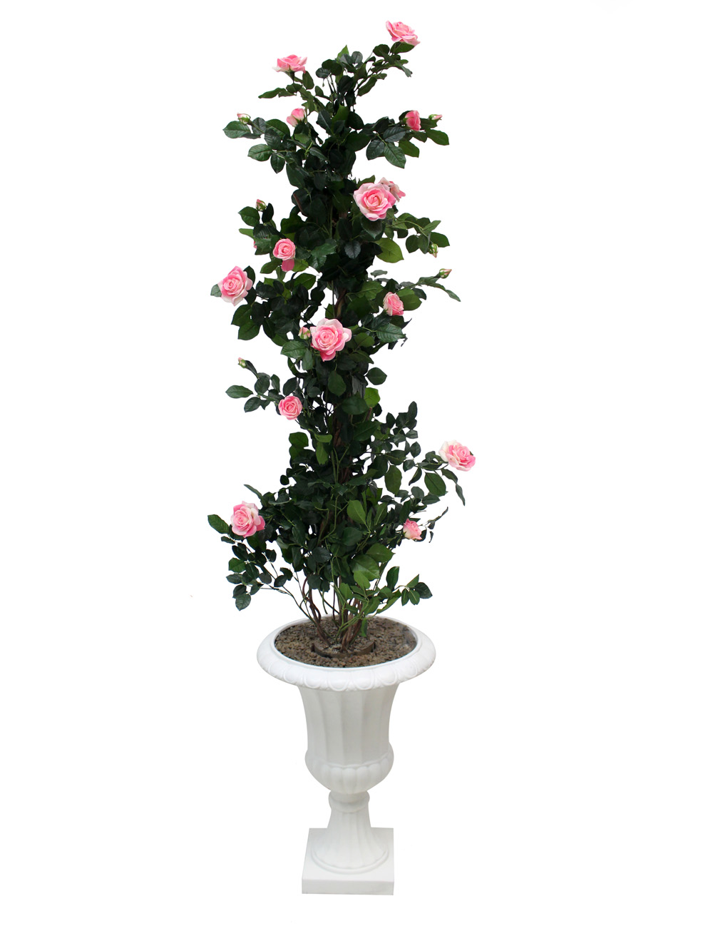 SN2481_Rose_Climber_in_Urn_event_prop_hire_0036IMG_3985_copy