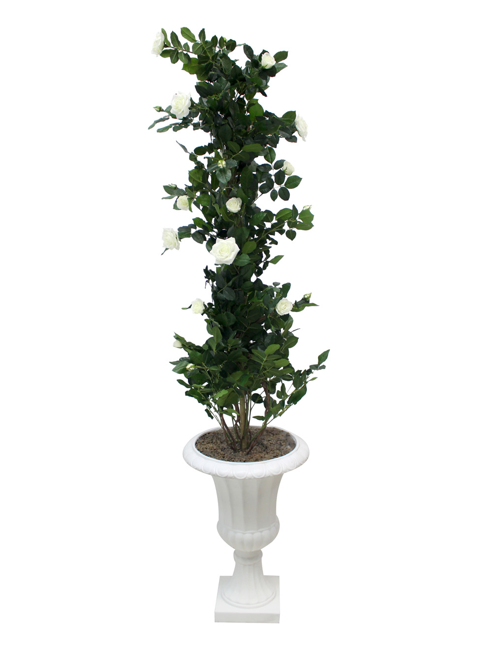 SN2482_Rose_Climber_in_Urn_-_Cream_event_prop_hire_0041IMG_3979_copy
