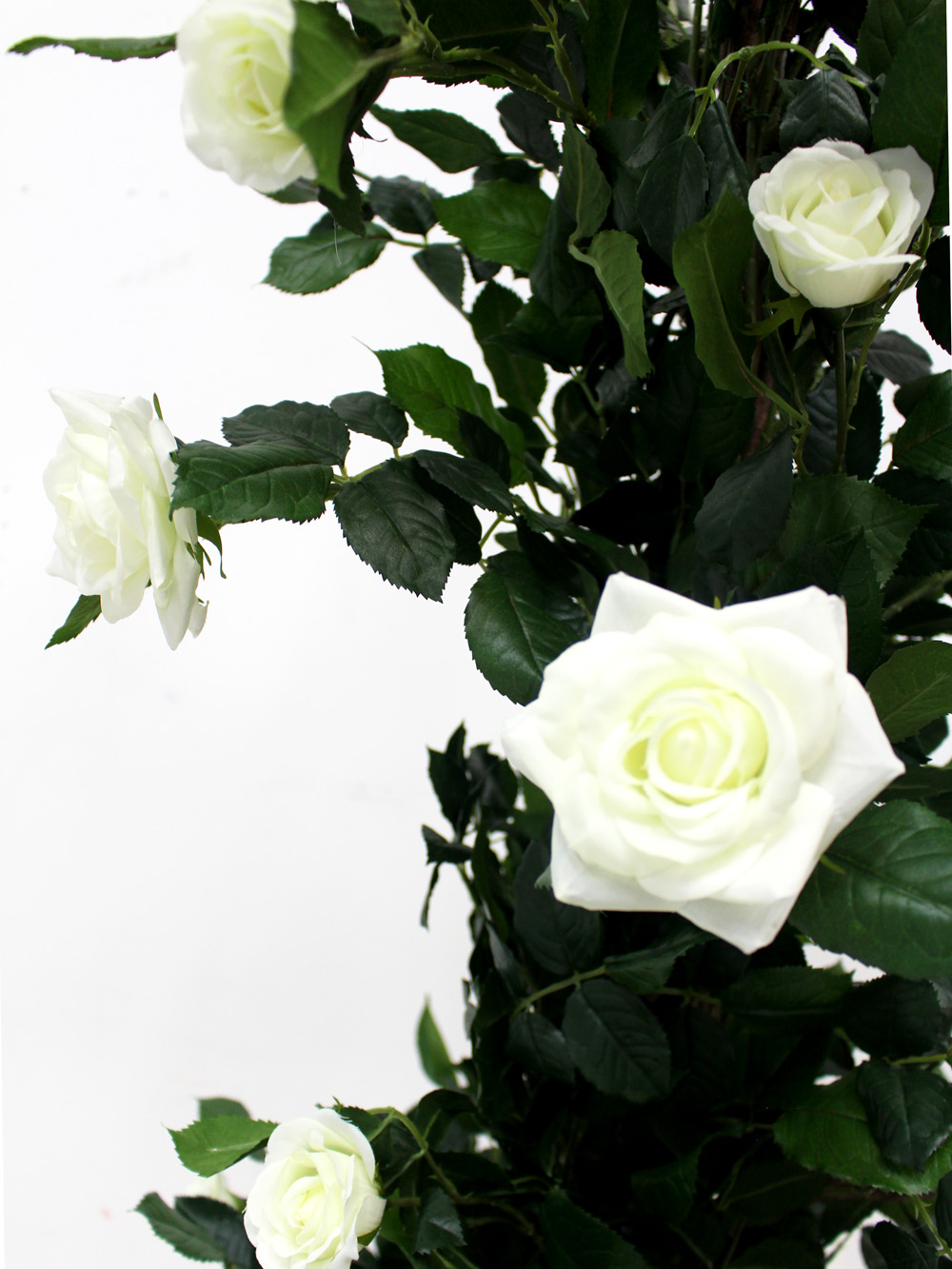 SN2482_Rose_Climber_in_Urn_-_Cream_event_prop_hire_0042IMG_3980_copy
