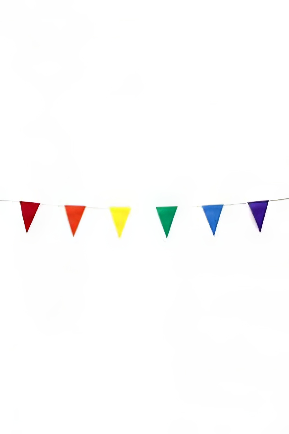 SN2596_Bunting_-_Pride_event_prop_hire_0025IMG_3961_2_copy_optimised