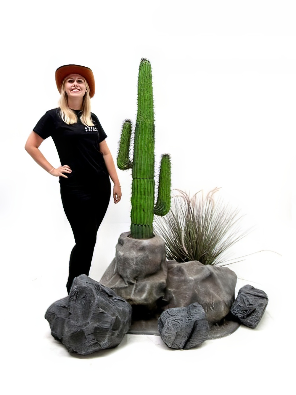 SN2609_SCN80_SCN27_Wild_West_Montage_Rocks_Cactusevent_prop_hire_LG_1527_copy.jpg
