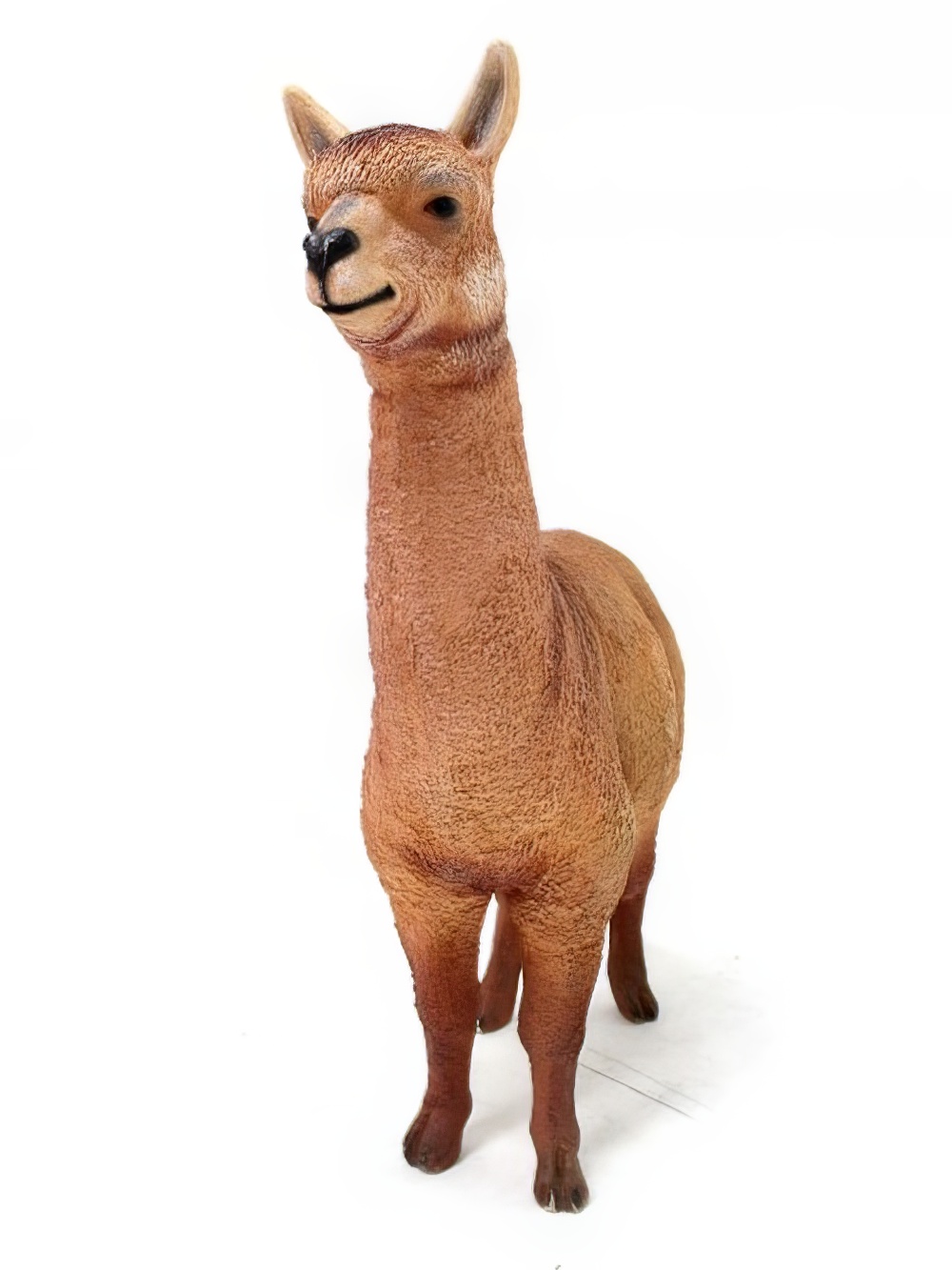 SN2767_Life-size_Alpaca_event_prop_hire_0003IMG_6489_copy