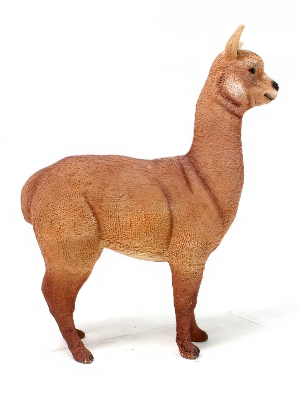SN2767_Life-size_Alpaca_event_prop_hire_0004IMG_6490_copy