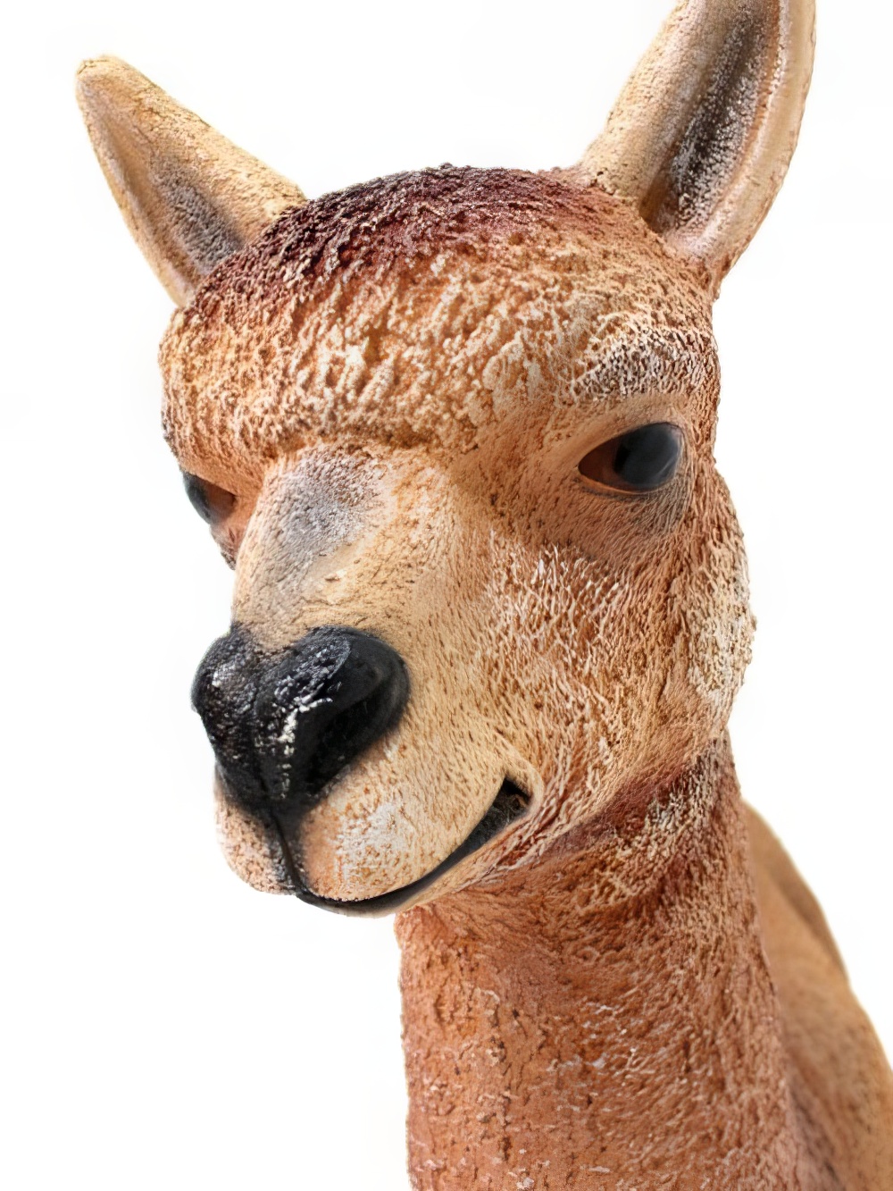 SN2767_Life-size_Alpaca_event_prop_hire_0005IMG_6494_copy