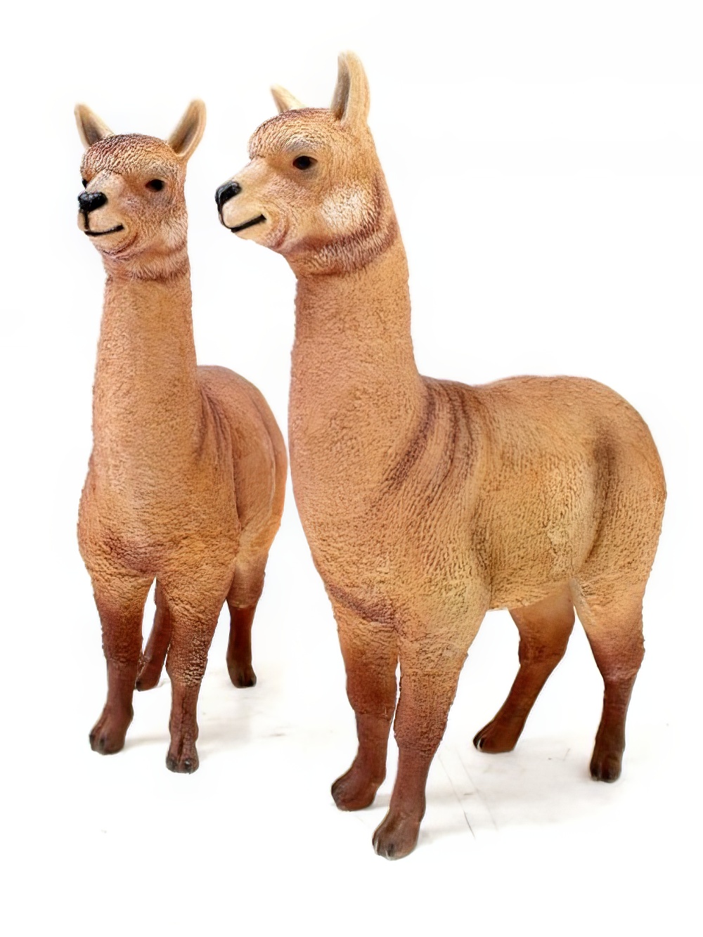 SN2767_Life-size_Alpaca_event_prop_hire_0006IMG_6497_copy