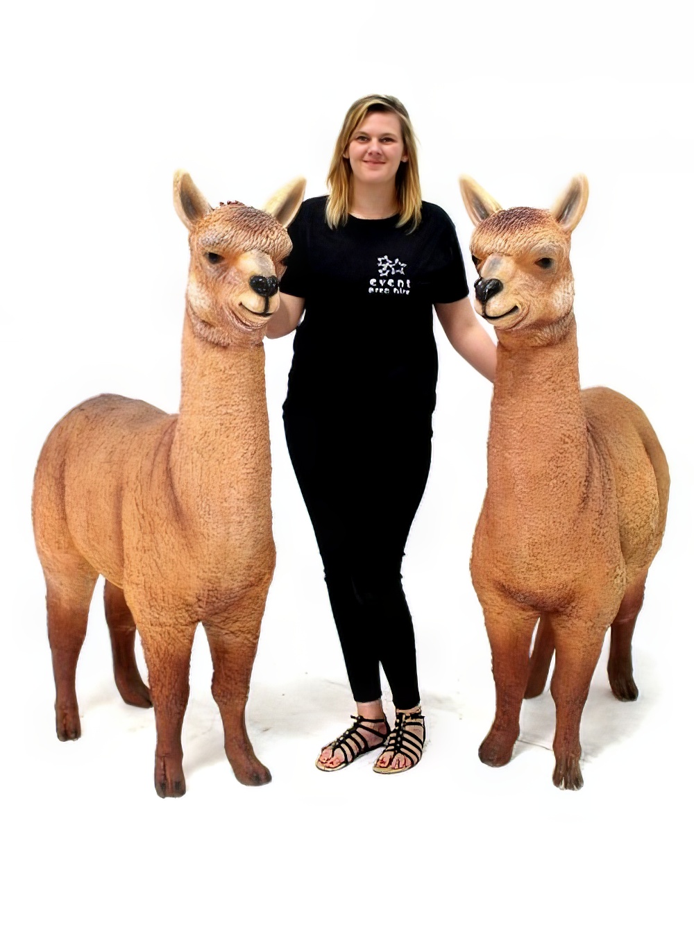 SN2767_Life-size_Alpaca_event_prop_hire_0007IMG_6513_copy