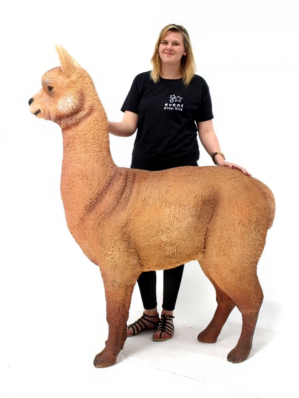 SN2767_Life-size_Alpaca_event_prop_hire_0008IMG_6514_copy