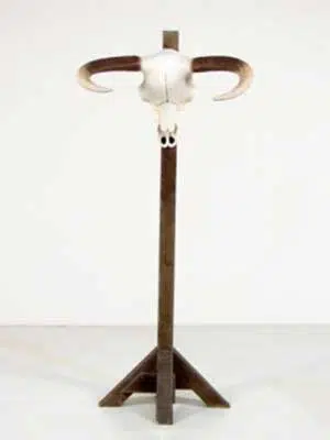 20070221213738_Bull-Head-(Small)