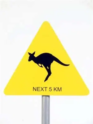 20070320185730_Kangaroo-Sign-Close-(Small)