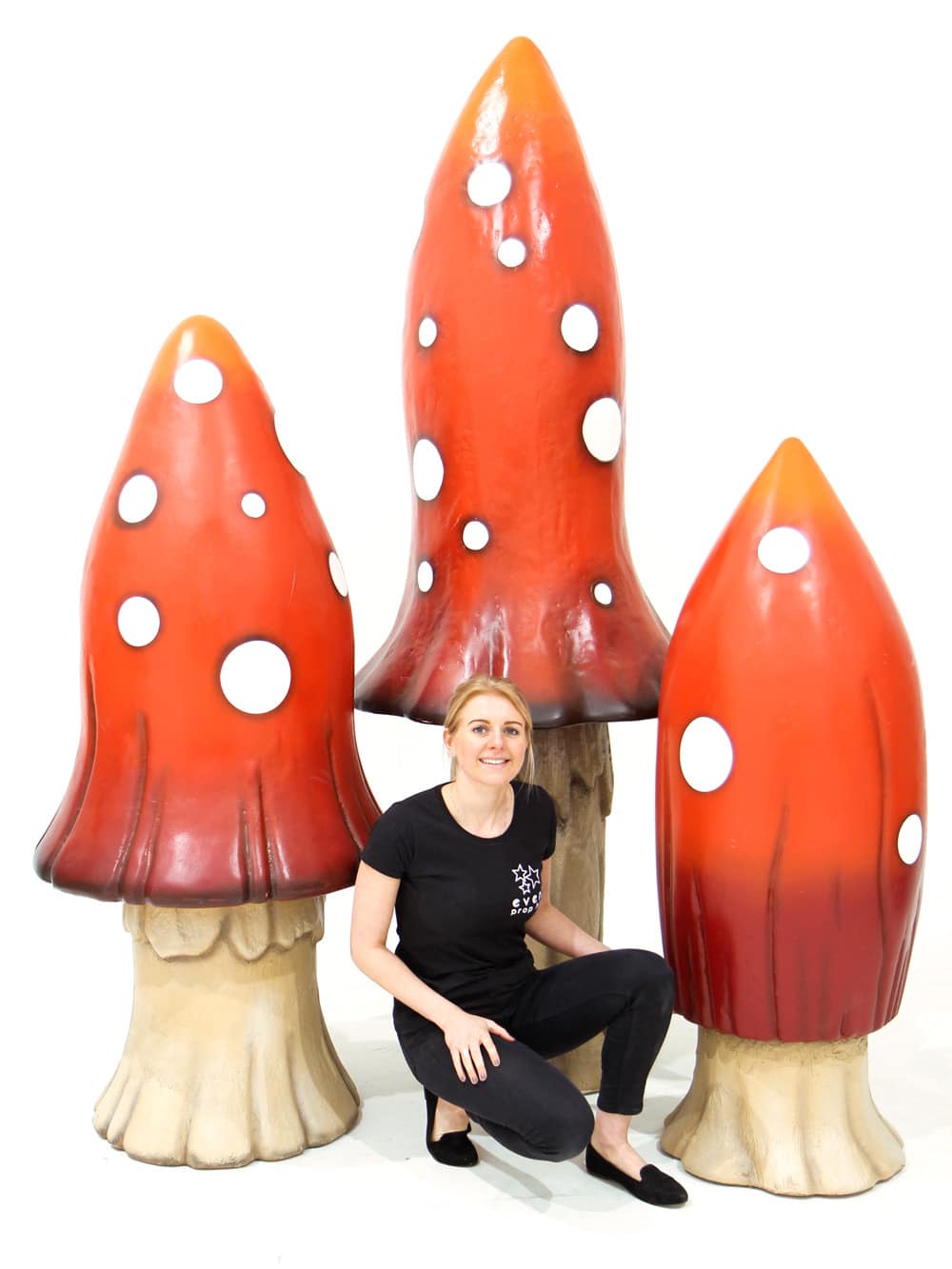 ALC48_ALC49_ALC50 3D Mushrooms _event_prop_hire_093