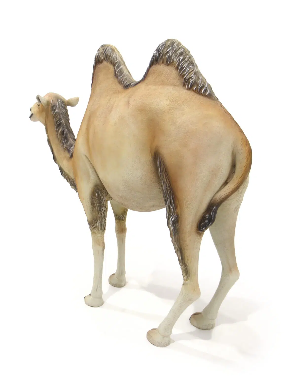 AML02_Life-size Camel Prop_Event_prop_hire_eph_creative_IF_002 copy