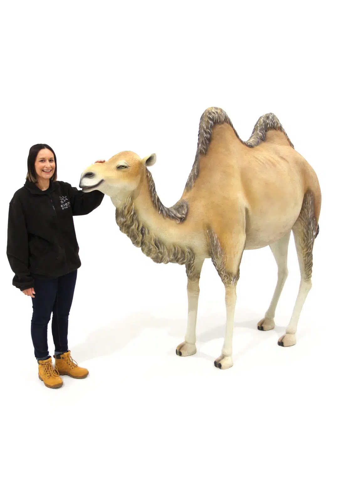 AML02_Life-size Camel Prop_Event_prop_hire_eph_creative_IF_003 copy