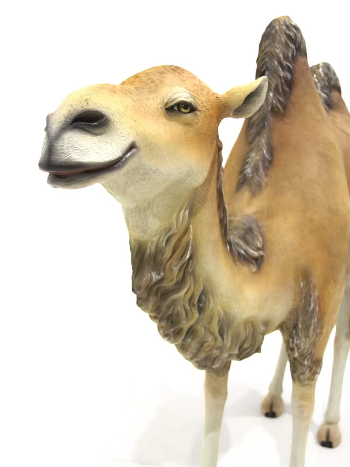 AML02_Life-size Camel Prop_Event_prop_hire_eph_creative_IF_004 copy