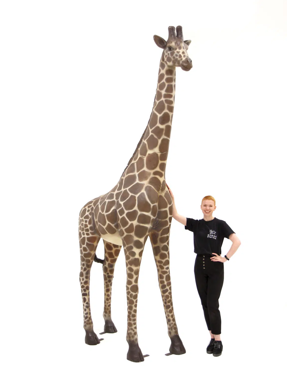 AML109 Life-size Giraffe_eph_creative_event_prop_hire_0016 copy