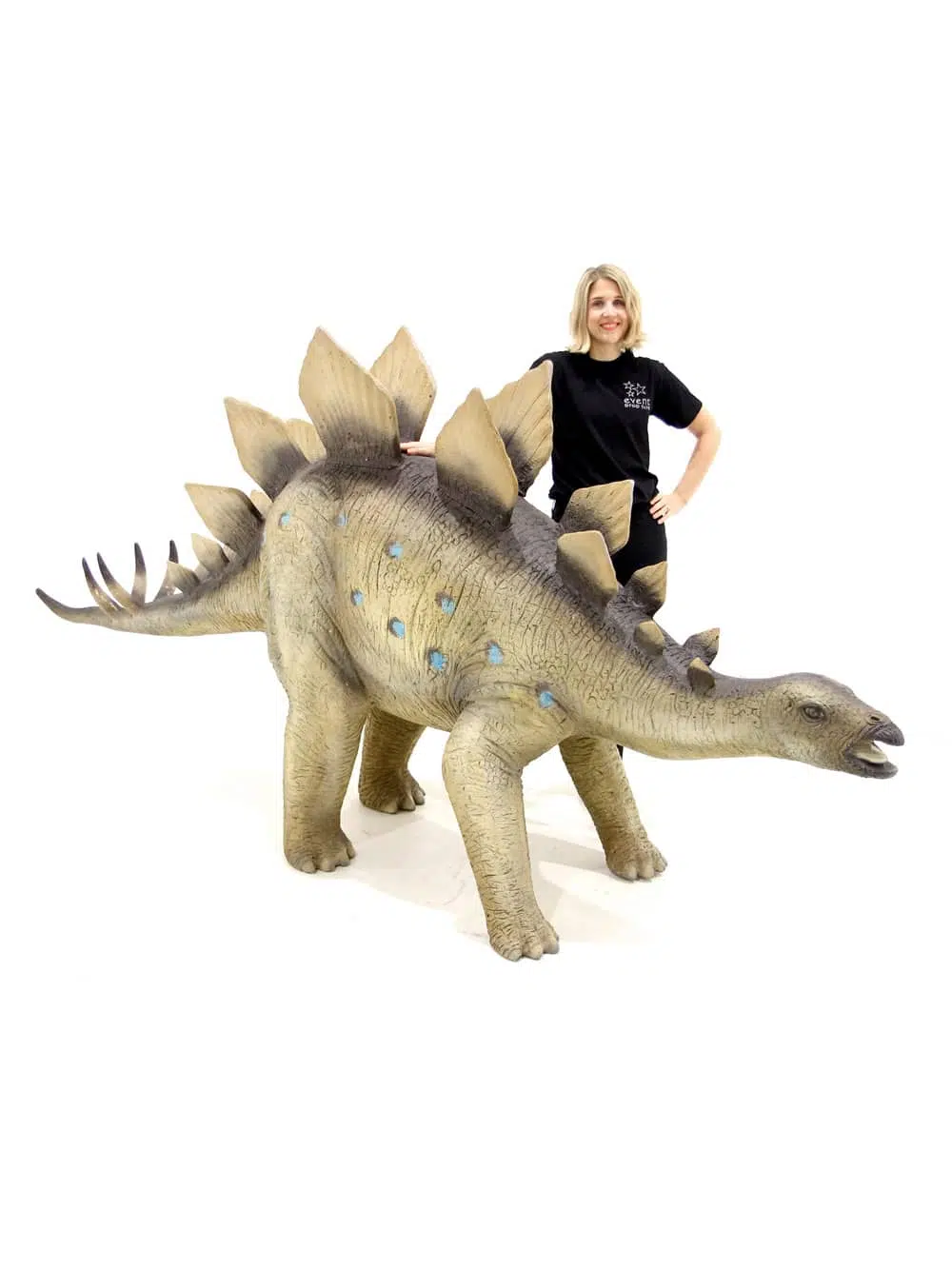 AML50_Stegosaurus Dinosaur Prop_053
