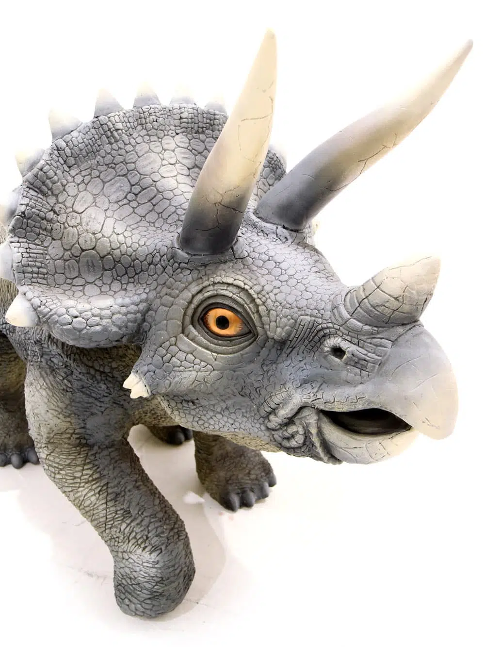 AML51_Triceratops Dinosaur Prop_050
