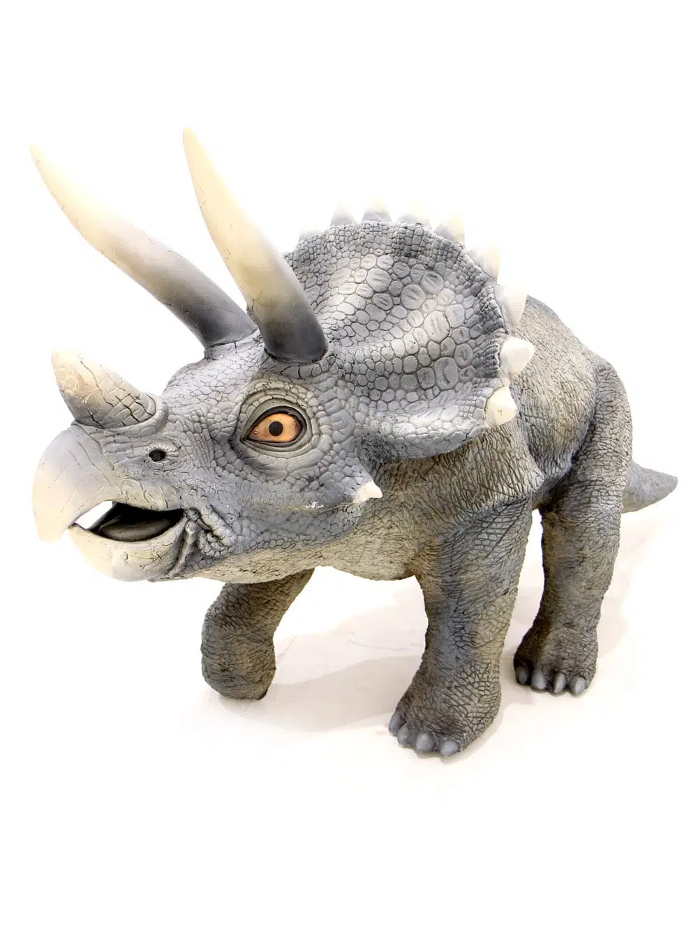 AML51_Triceratops Dinosaur Prop_051
