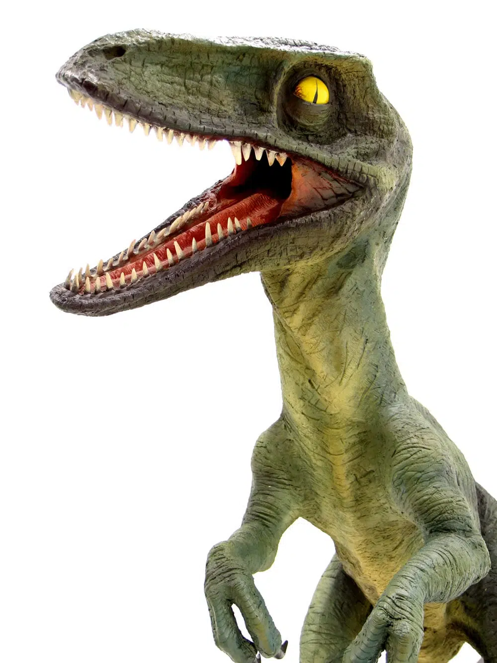 AML55_Raptor Dinosaur Prop_039