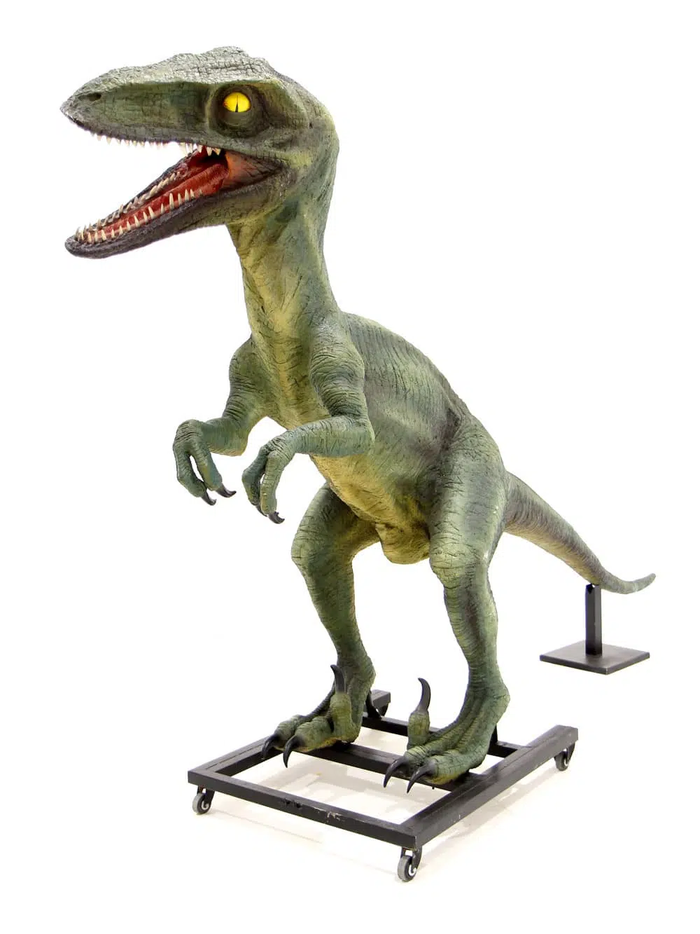 AML55_Raptor Dinosaur Prop_042