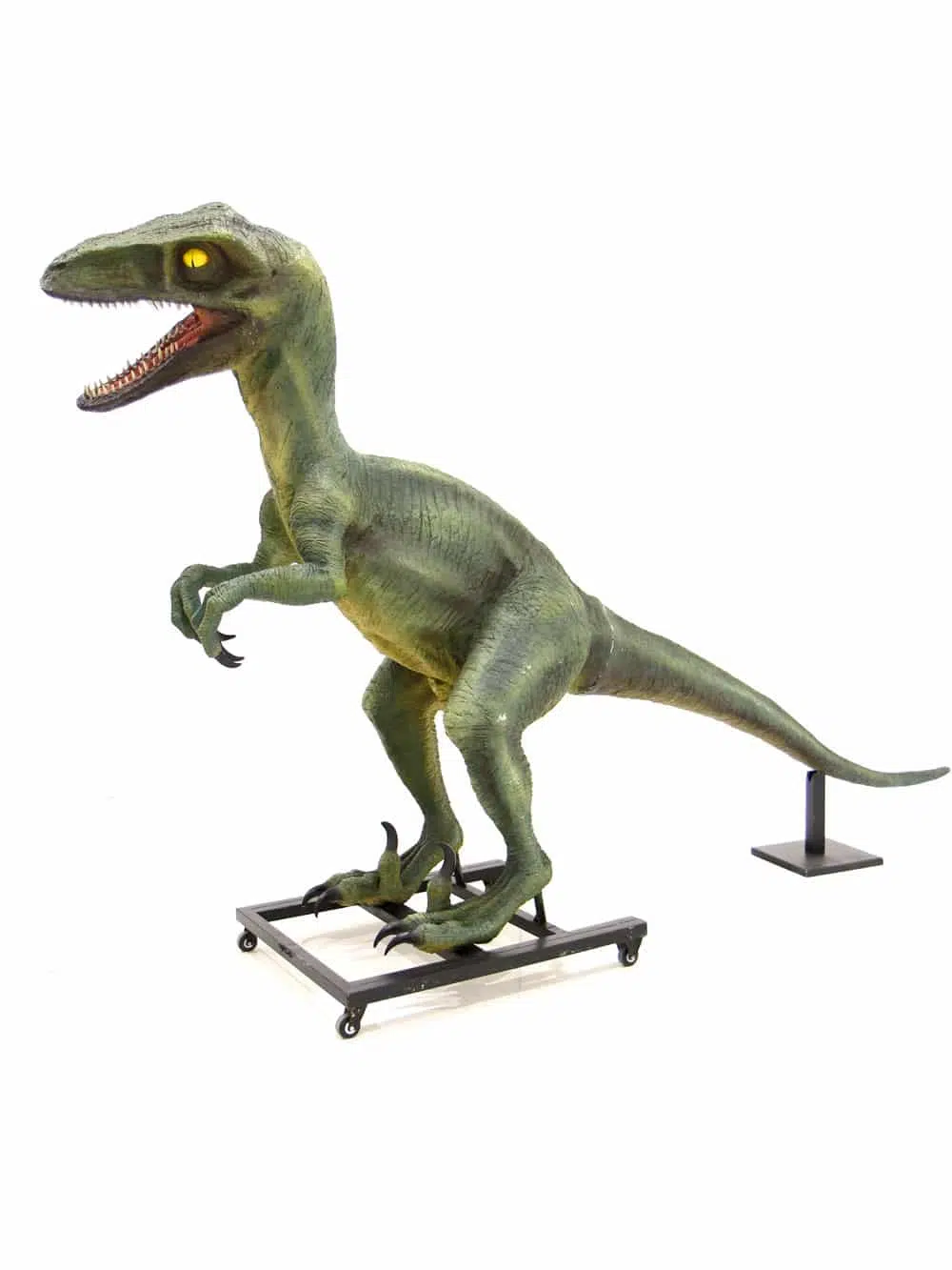 AML55_Raptor Dinosaur Prop_043