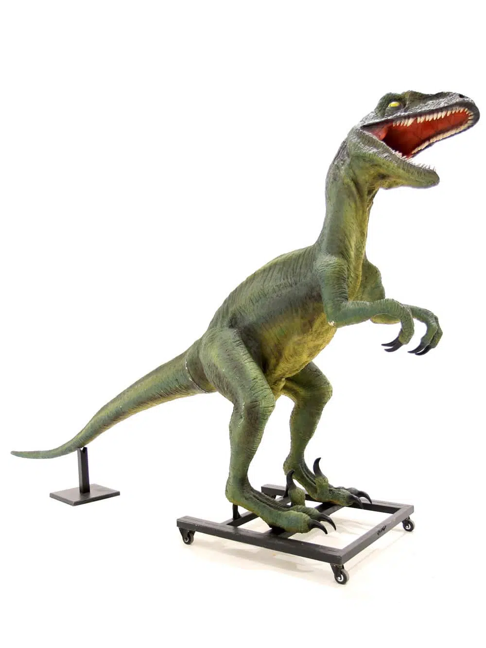 AML55_Raptor Dinosaur Prop_044
