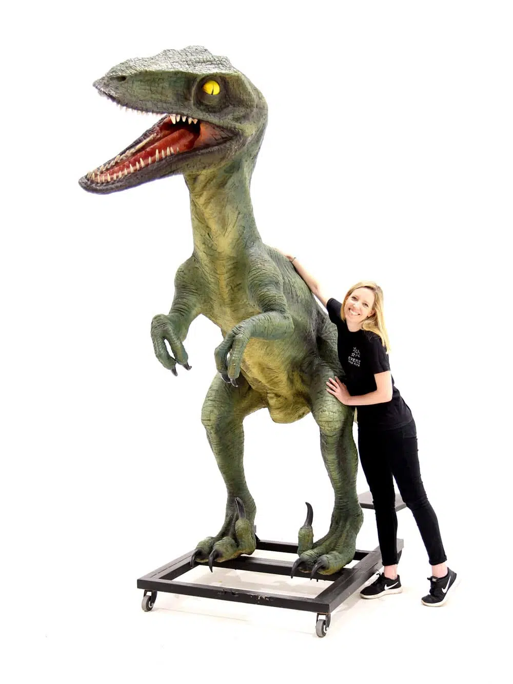 AML55_Raptor Dinosaur Prop_045