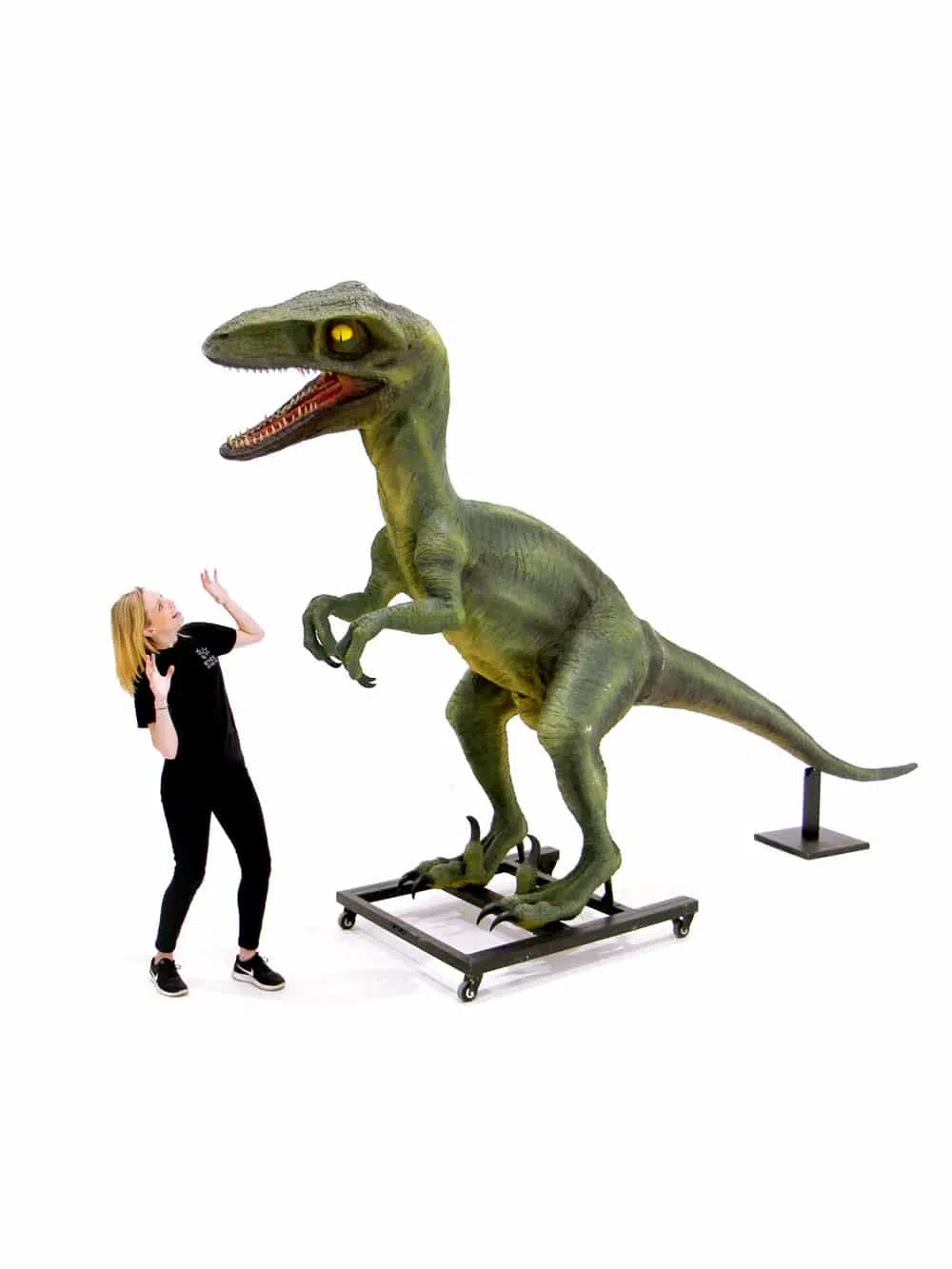 AML55_Raptor Dinosaur Prop_046