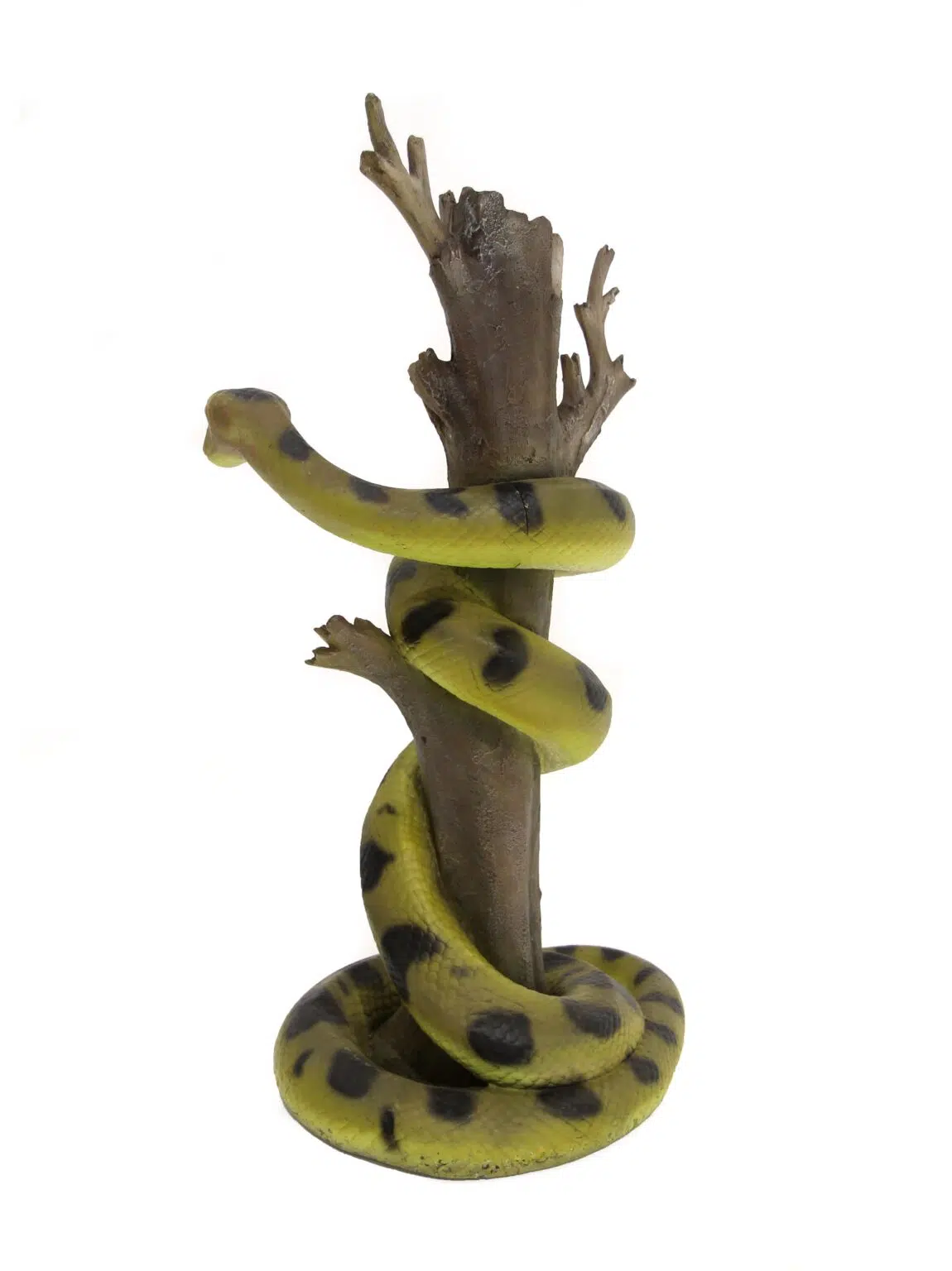 AML79_Snake Anaconda_event_prop_hire_EPH_Creative_1 copy