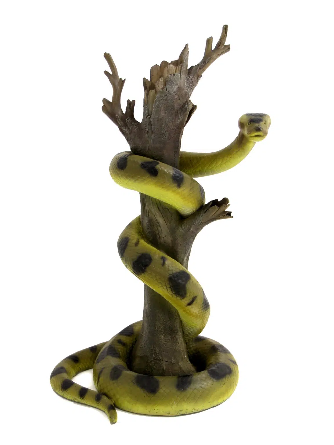AML79_Snake Anaconda_event_prop_hire_EPH_Creative_8 copy