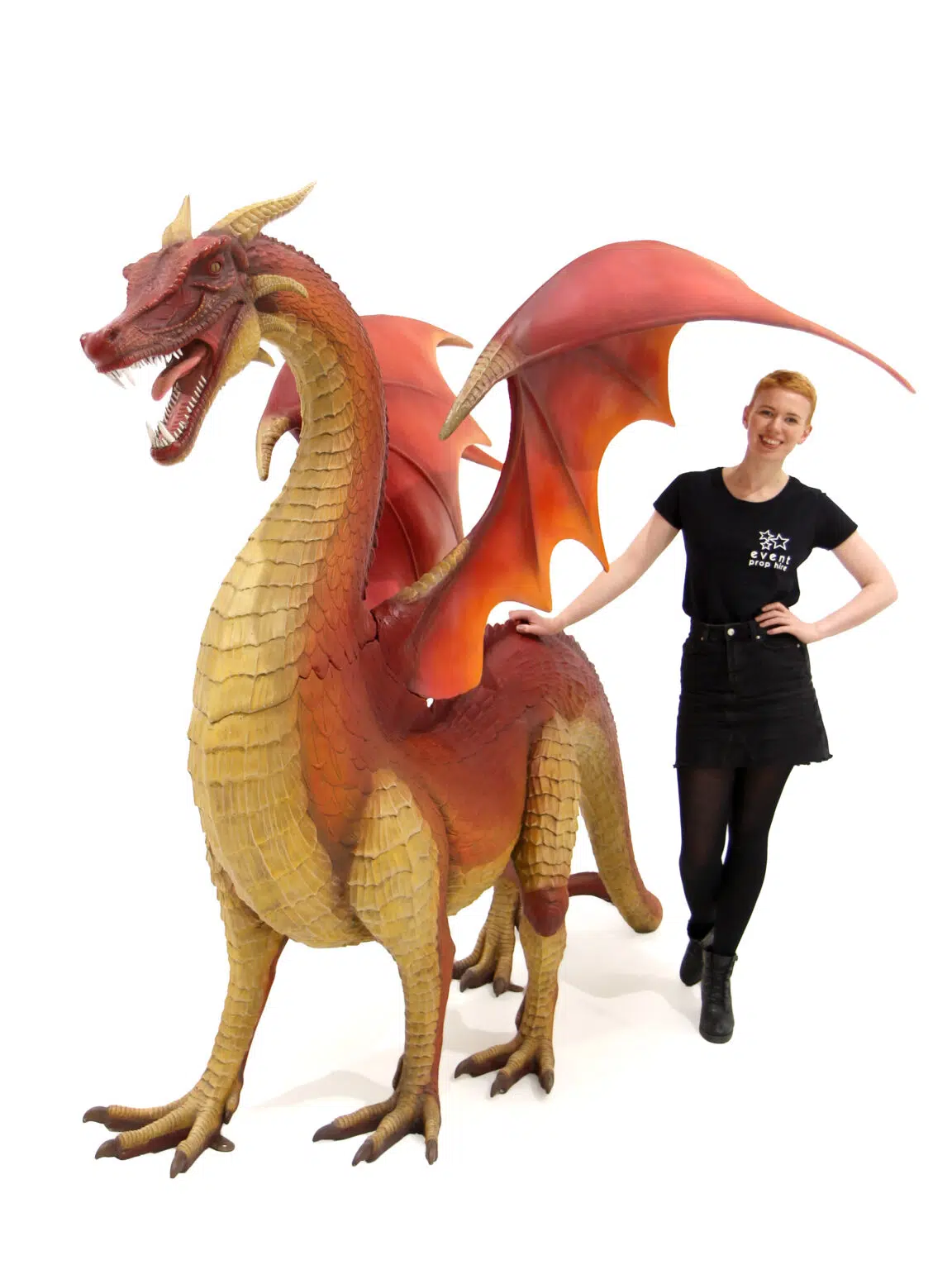 AML92_Dragon_event_prop_hire_EPH_Creative_BB_004 copy