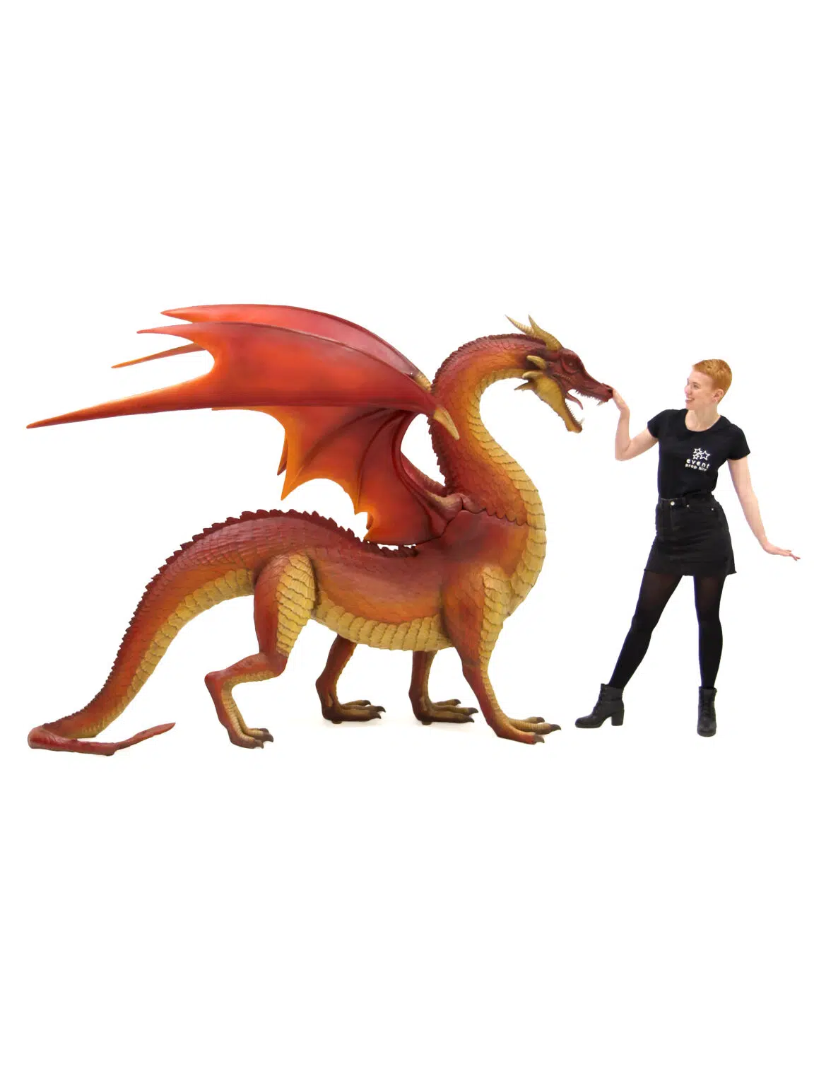AML92_Dragon_event_prop_hire_EPH_Creative_BB_008 copy