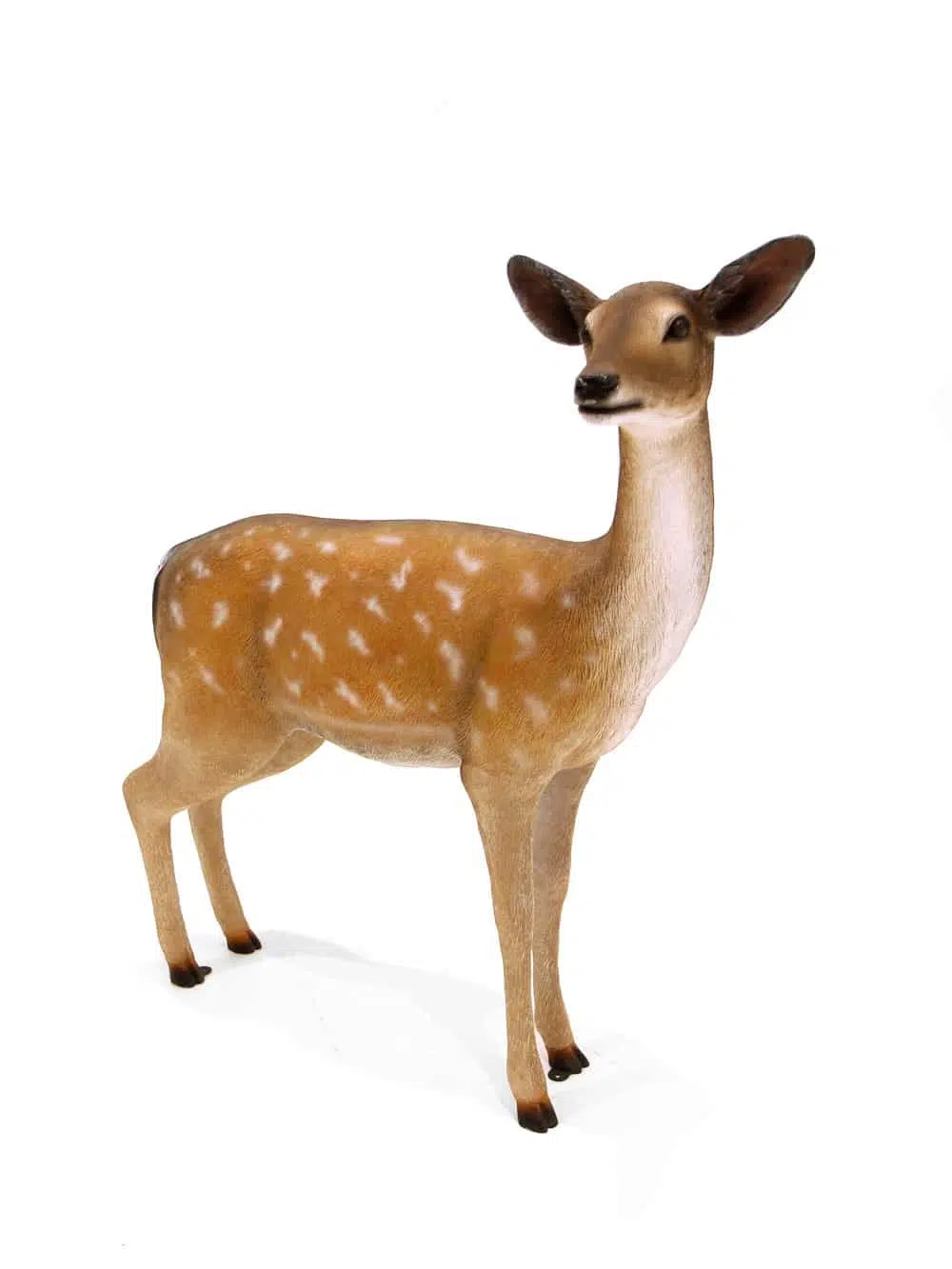 AML97_Fawn_Baby Deer Animal Prop_089