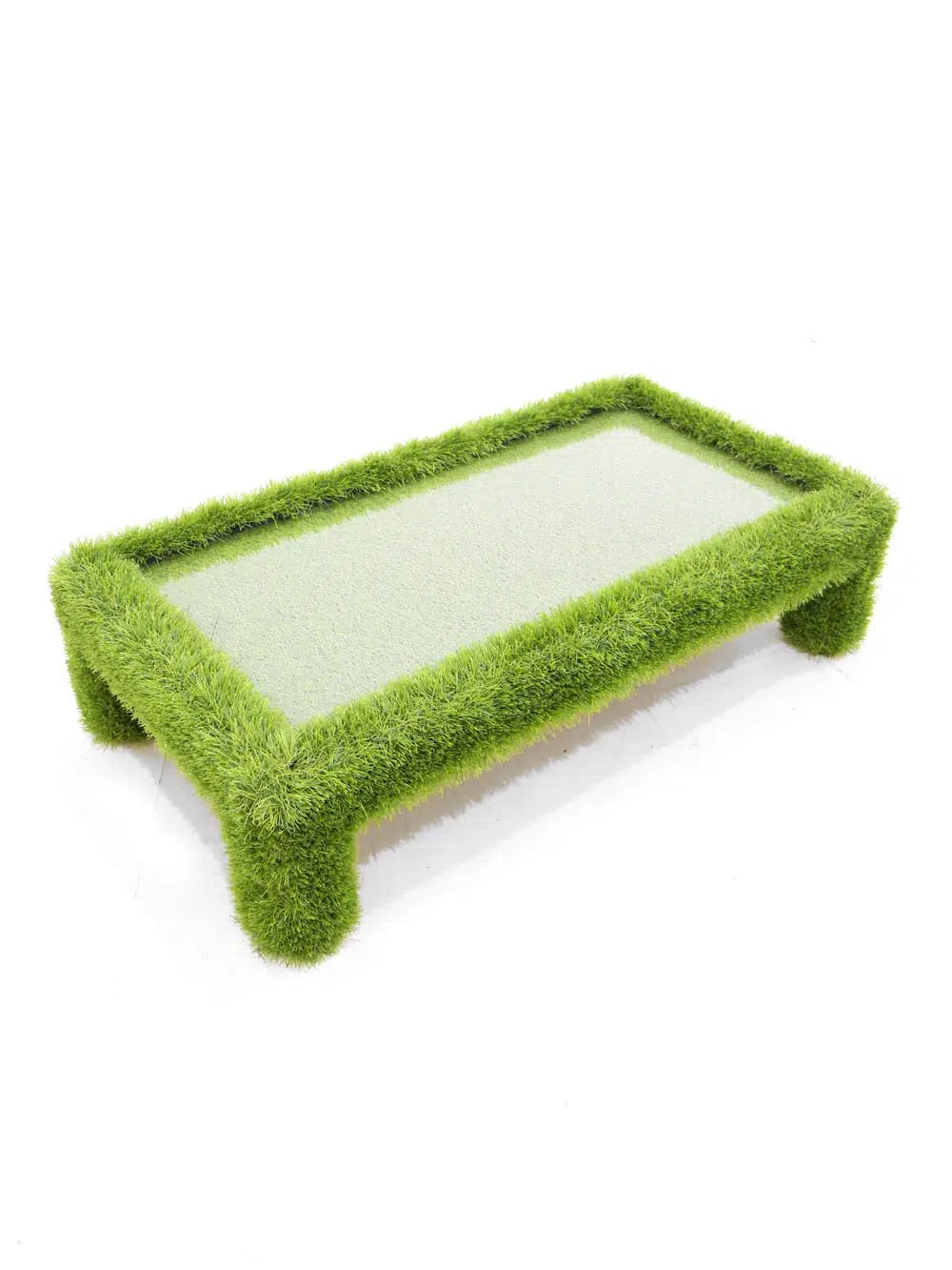 FUR108_Grass covered coffee table_065