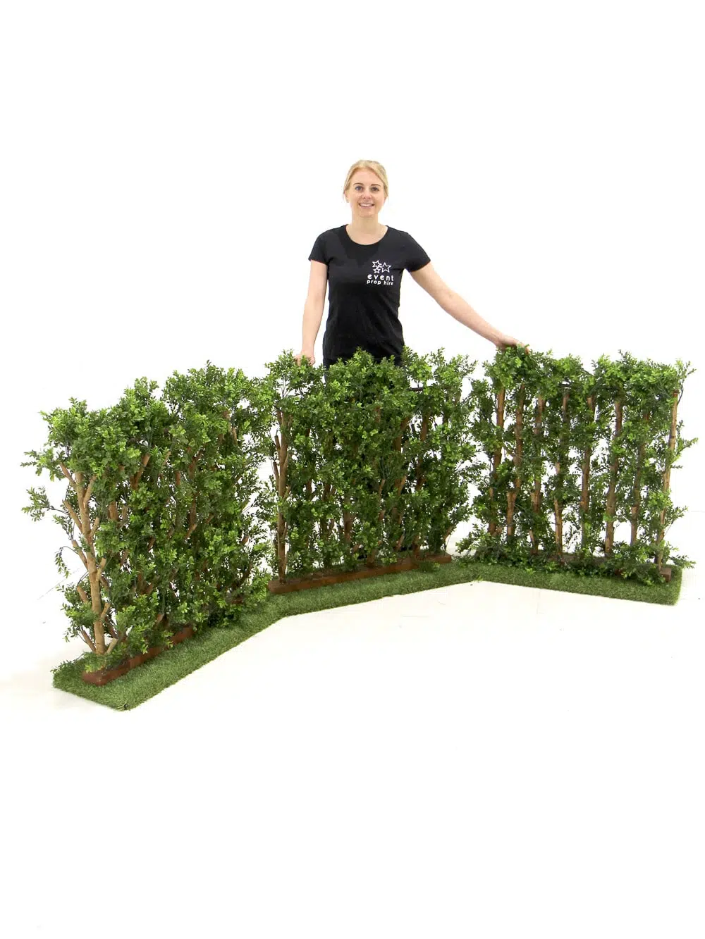 SCN176 Hedge Section _event_prop_hire_035