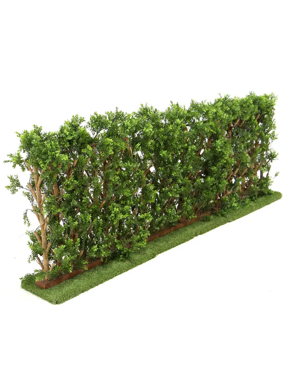 SCN176 Hedge Section _event_prop_hire_036