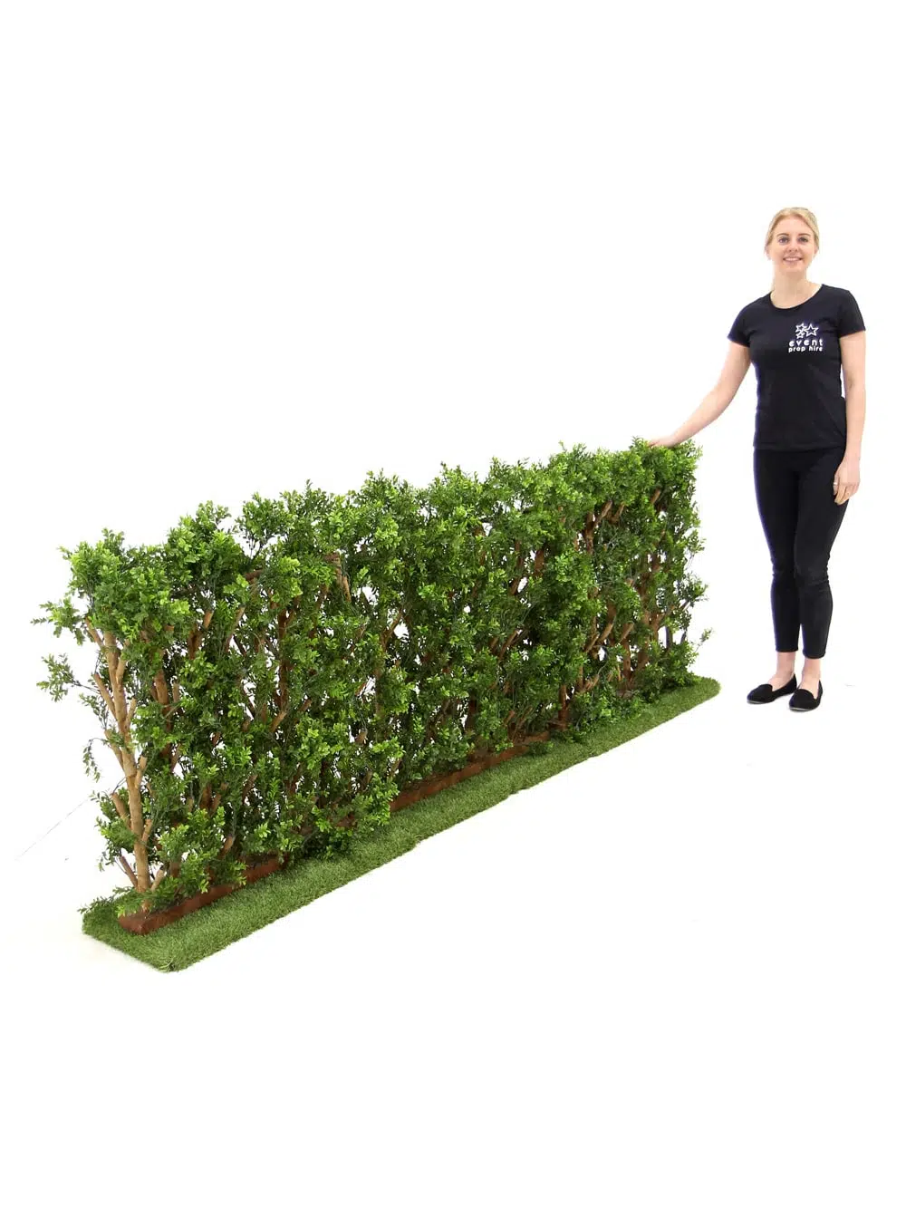 SCN176 Hedge Section _event_prop_hire_037
