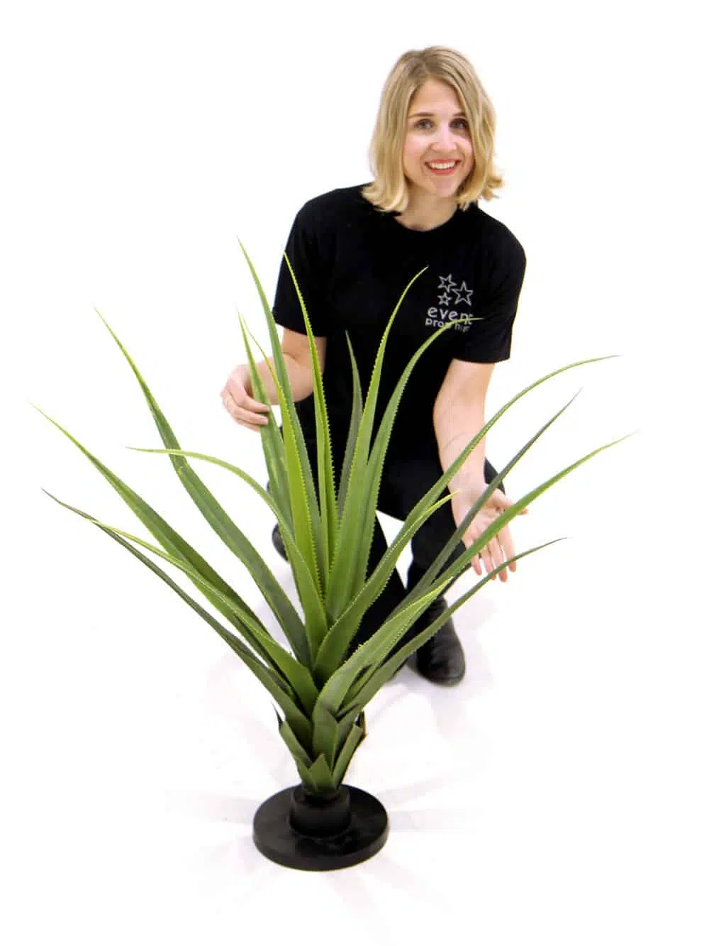SCN44_Pandanus Cactus Plant_145