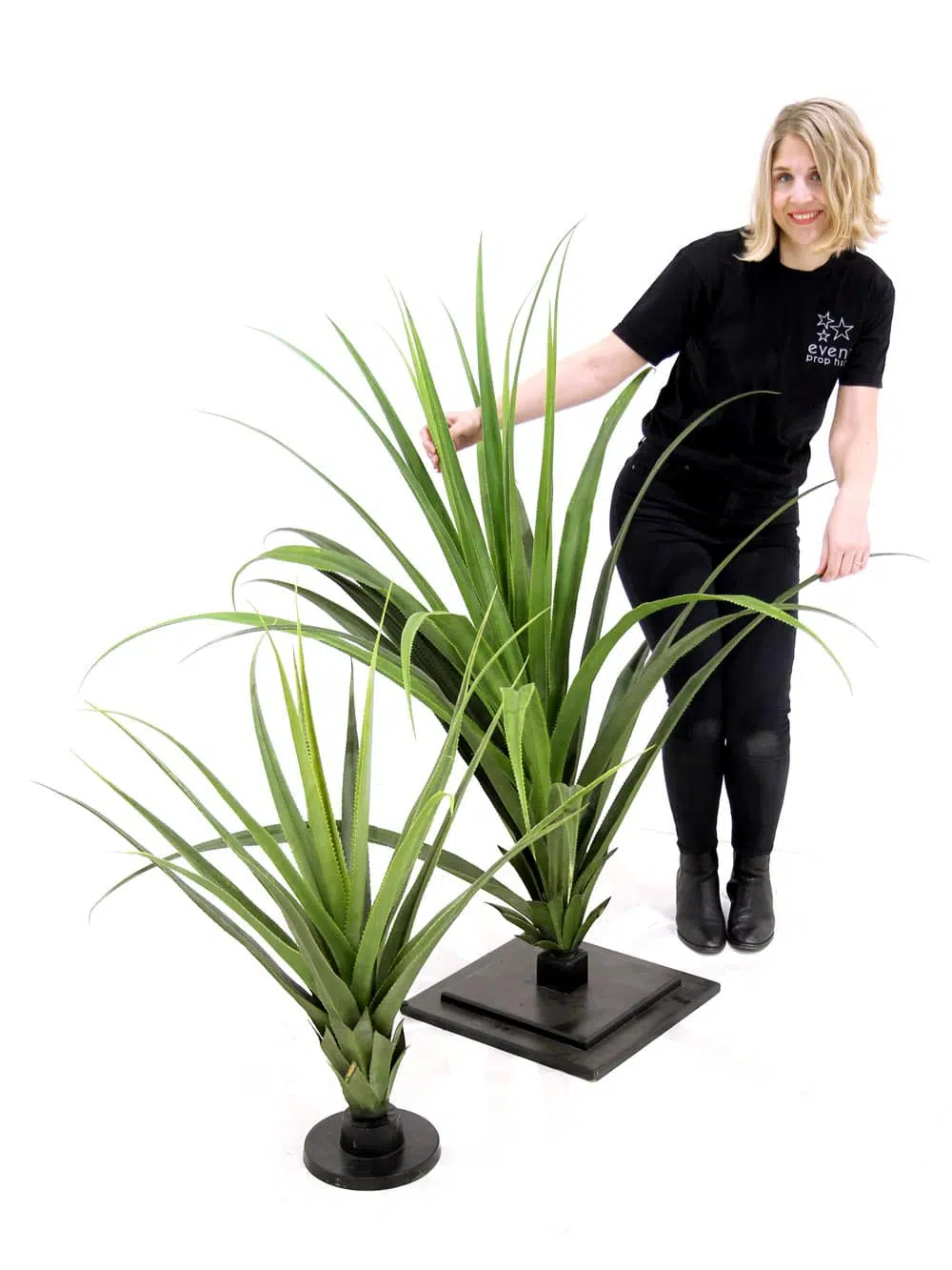 SCN44_SN3456_Pandanus Cactus Plants_151