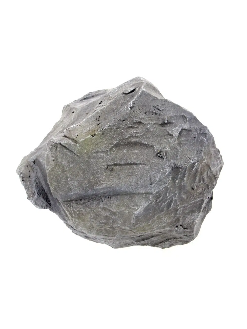 SCN81_Rock - Large_184