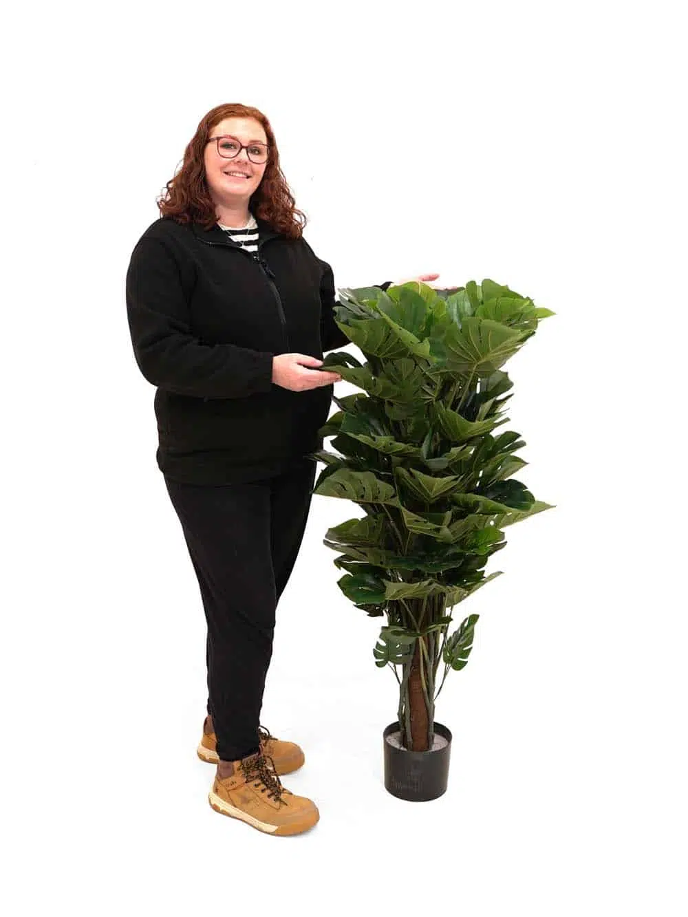 SN1135_Cheese Plant - Medium - (Style May Vary)_event_prop_hire_EPH_Creative_059 copy _optimised