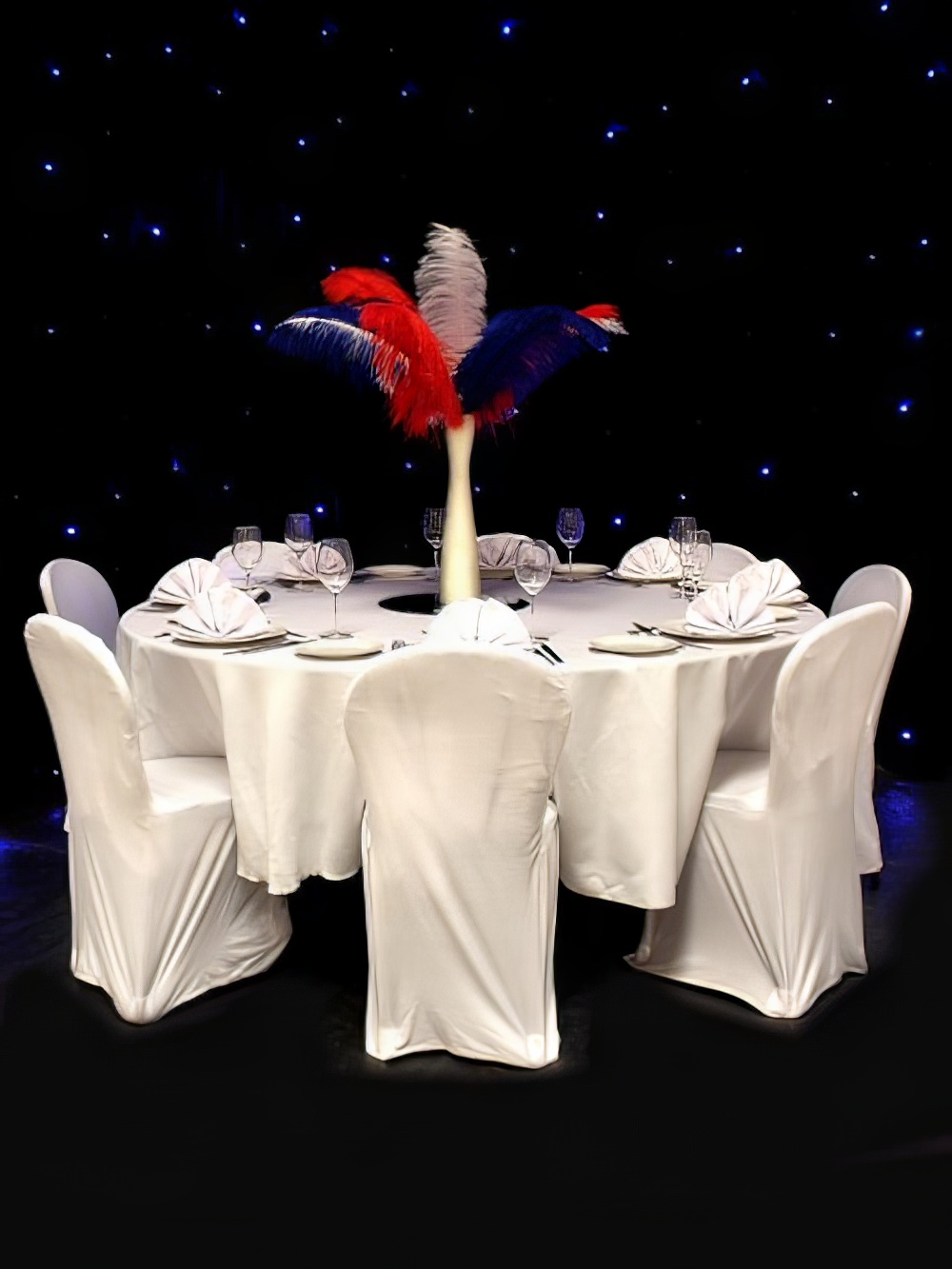 SN2831_Red_Whiteand_amp_Blue_Feather_Display_in_Gold_Vase_event_prop_hire_0003_Red_Whiteand_amp_Blue_event_prop_hire_0003IMG_4423_copy