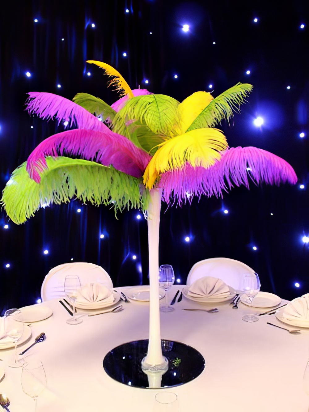 SN2894_Carnival_Green_Yellowand_amp_Purple_feather_display_in_white_lily_vase_event_prop_hire_0004_CArnival_-_Green_Yellowand_amp_Purple_event_prop_hire_0101IMG_5557_copy