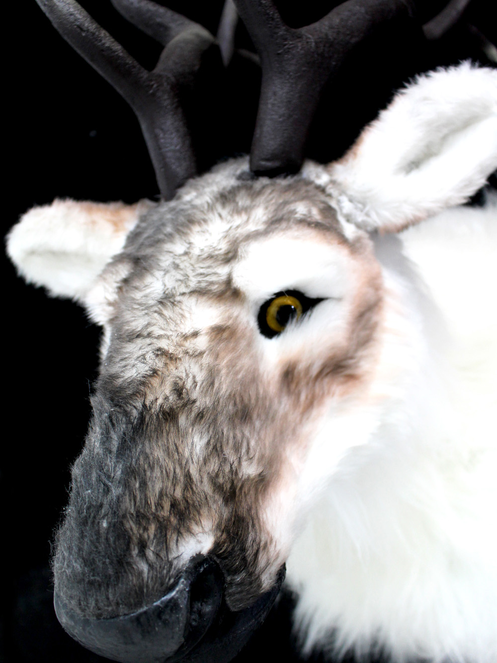 SN2906_Large_Furry_Reindeer_Prop_event_prop_hire_0010LG_486_copy