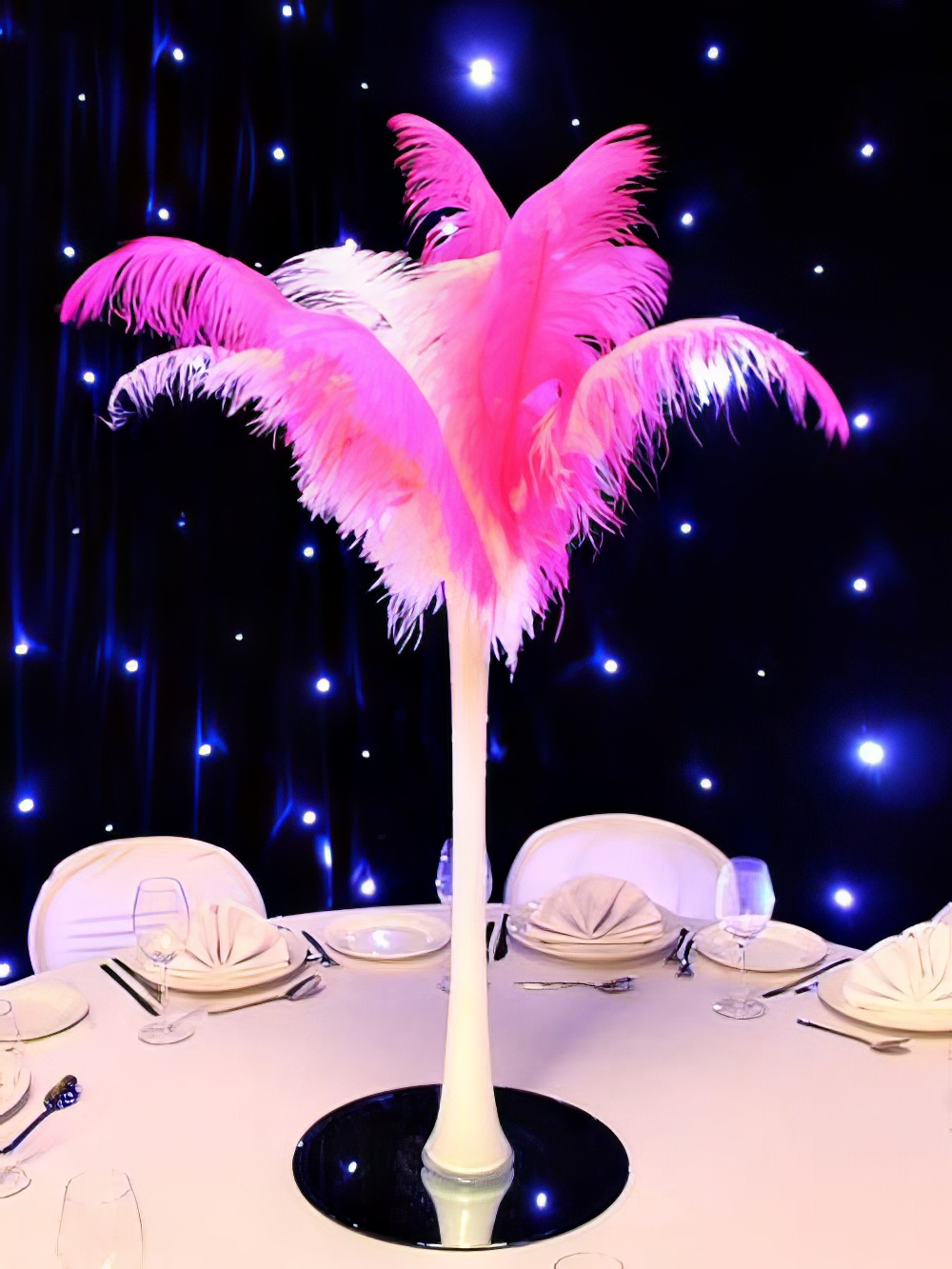SN2953_Hot_Pinkand_amp_White_Feather_Display_in_White_Lily_Vase_event_prop_hire_0004_Hot_Pinkand_amp_White_event_prop_hire_0254IMG_5165_copy_optimised