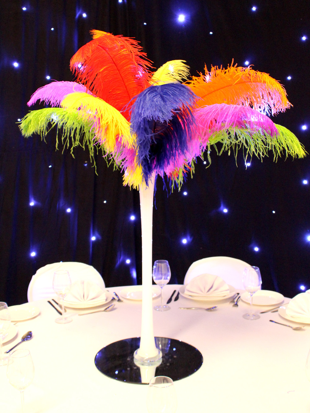 SN2971_Pride_Colours_Feather_Display_in_White_Lily_Vase_event_prop_hire_0004IMG_5495_copy_optimised